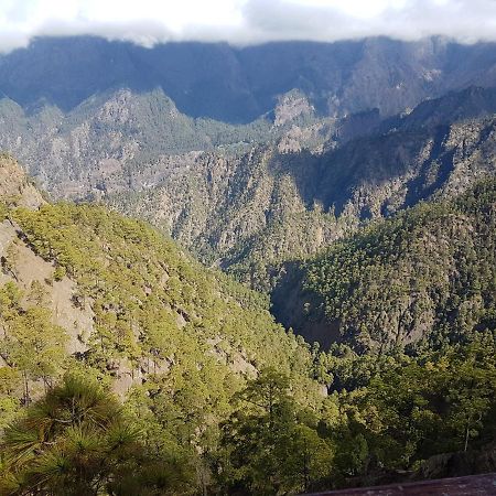 Palma Tellus Daire Tazacorte Dış mekan fotoğraf