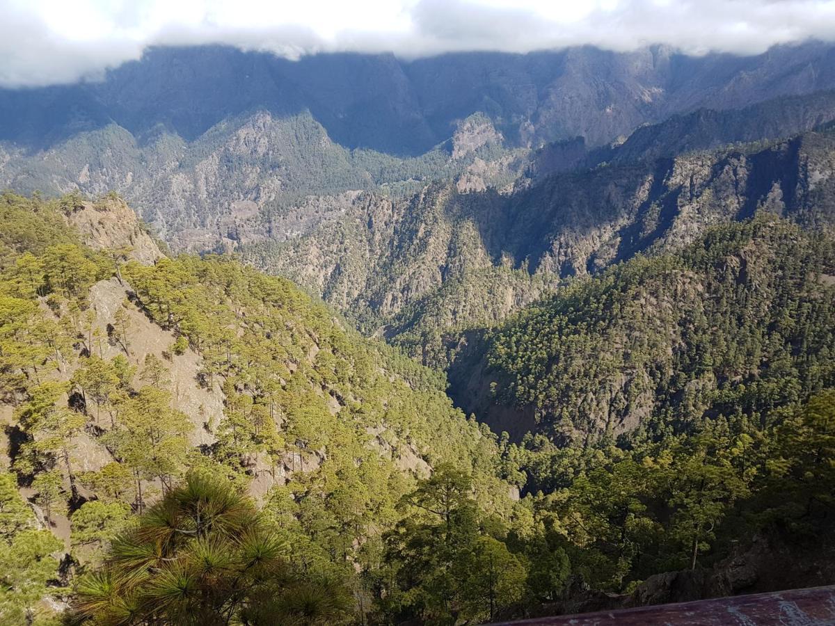 Palma Tellus Daire Tazacorte Dış mekan fotoğraf