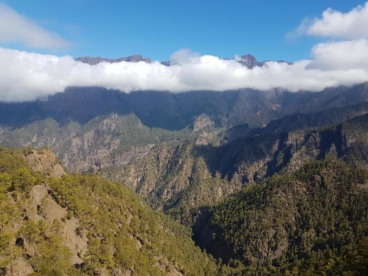 Palma Tellus Daire Tazacorte Dış mekan fotoğraf